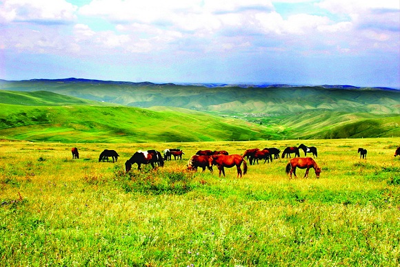 Zentralgebiet der Inneren Mongolei Zentralgebiet der Inneren Mongolei